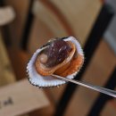 큰기장곰장어 이미지