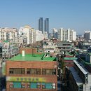 죽림석유 이미지
