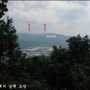 우면산3-28 이미지