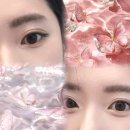 아이비쥬 네이버블로그