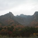 원명덕 이미지