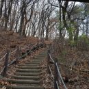 강남 신사동 압구정동 치과병원 명단 자료실 디스코드 압구정부동산 서버 주소 안내 이미지