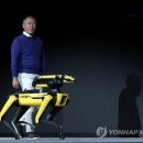 주식회사현대수리조트 이미지