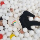 재남농장 이미지