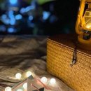 욜로올레제주 이미지