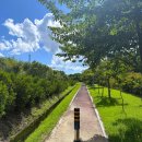 벌교숲공원 이미지