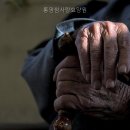 통영참사랑요양원 네이버블로그