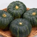 마진농장 이미지