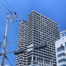 266호텔 | [강원도/속초 호텔 추천] 애견동반 가능한 아이파크스위트 호텔 재방문 솔직후기