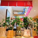 가메스시 | [홍대] 가메스시 방문기🍣/진심 후기 (내돈내산 애정 담김 주의)