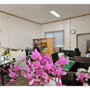 김해투자공인중개사사무소 | 김해공인중개사사무소 현실적인 상담으로 마음이 놓이는 믿음직한 부동산 중개 경험담