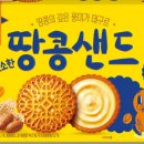 땅콩샌드네 이미지