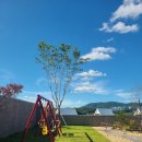 마크풀빌라(C,D) | 경주 단체 키즈 풀빌라 이츠키즈경주풀빌라 방3개 (+내돈내산 D동 후기)