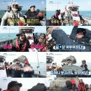 도시어부 이미지