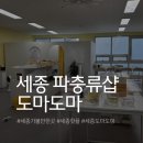 세종메디피아 | 세종 핫플 세종 파충류샵 도마도마 방문후기