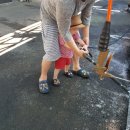 마이카셀프세차타운 이미지