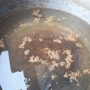 고라농장 이미지