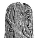 생명의 바다 1.1 이미지