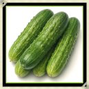 인제군농업기술센터 | 인제군, 농업발전기금 7억 원 융자 지원