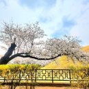 삼천리1차(아) 이미지
