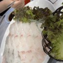 신안맛집 | 연안부두목포신안맛집 농어광어 50첩코스 솔직후기, 목포신안 18호 횟집 후기