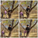 (어치) 단풍과 흙미끄럼놀이로 떠들썩했던 영축산 이미지