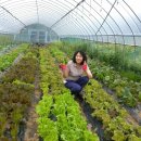 한송농장 이미지