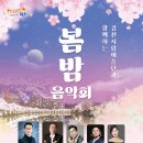 봄밤음악회 이미지