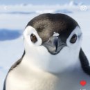 미니(MINI) 이미지