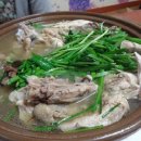 학마루 Daum카페