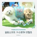 사이소프트 | 강아지 부드러운 덴탈껌 추천 말랑소프트 가수분해 덴탈츄 후기