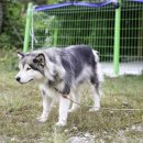 꾸메푸메펜션 이미지