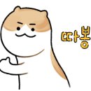 에이치필라테스&태닝
