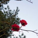 용이푸르지오경로당 이미지