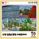 수원-2000 | 수원 일월수목원 입장료 4000원 주차 2000원 전시온실 7번 후기 이벤트 까지!