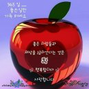 예쁜하루 이미지
