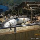 장생포고래박물관 이미지