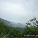 라일락목장 이미지