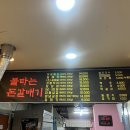 불타는갈매기 | 면목역 맛집, 면목역 고깃집, 서일대 고깃집, 서일대 근처 맛집 &#34;불타는 돈 갈매기&#34; 내 돈 내산, 솔직 후기