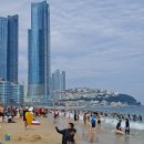 해운대 이미지