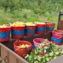 이정섭농장 이미지