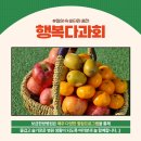 보금한방병원 이미지