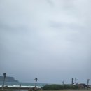애월더문 네이버블로그
