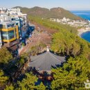 해운대블루라인(주) 이미지