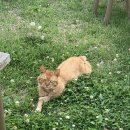 장터로 | 빈티지 감성 색감📷 아이폰 XS｜아이폰 15 Pro와 실제 비교 + 번개장터 구매 후기📱