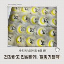 김포 맛집, 답례품으로 유명한 '달빛기정떡' 아이가 놀란 떡 맛집
