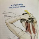 스트레칭포인트 네이버블로그