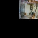 우산쓴고양이 | 서울 고양이 호텔 추천, 가성비 좋은 호텔링 우산쓴 고양이