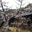 청도메디컬 이미지