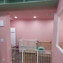 펫미리애견샵 이미지